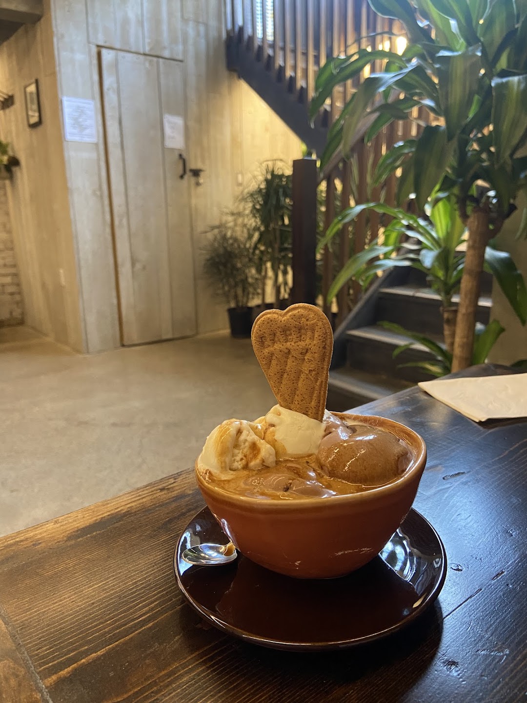Ricotta gelato with orange zest at Moss Park Espresso